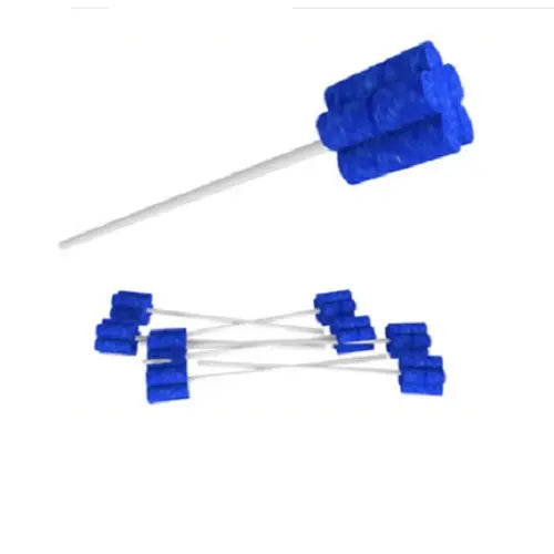 ESPONJA DE LIMPIEZA PARA AIRVO2